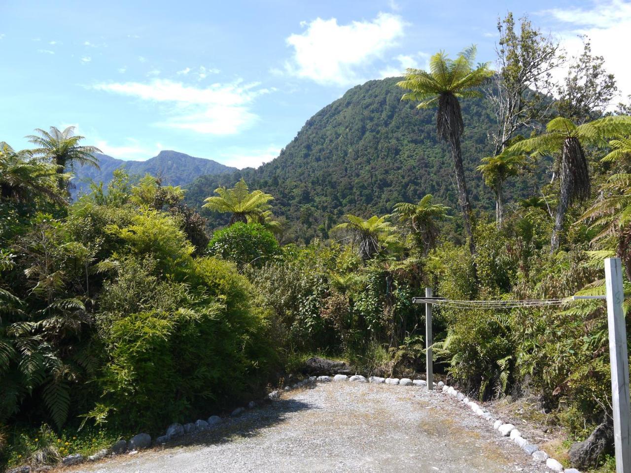 Franz Josef Treetops Exteriör bild